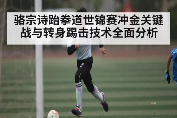 骆宗诗跆拳道世锦赛冲金关键战与转身踢击技术全面分析